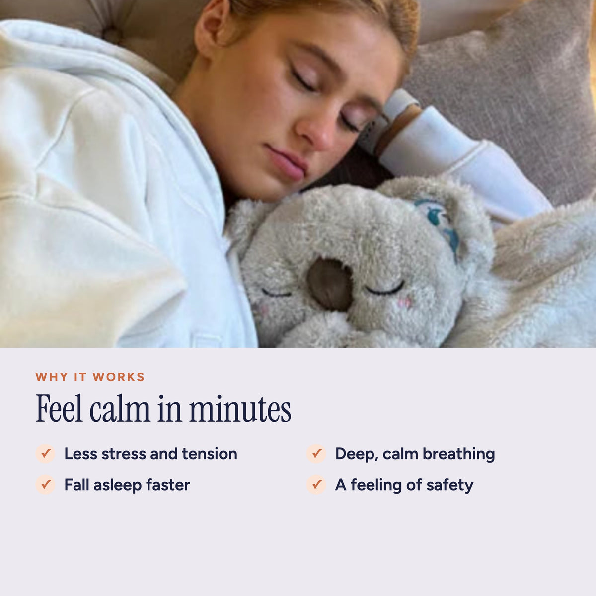 Calm Koala