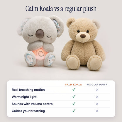 Calm Koala