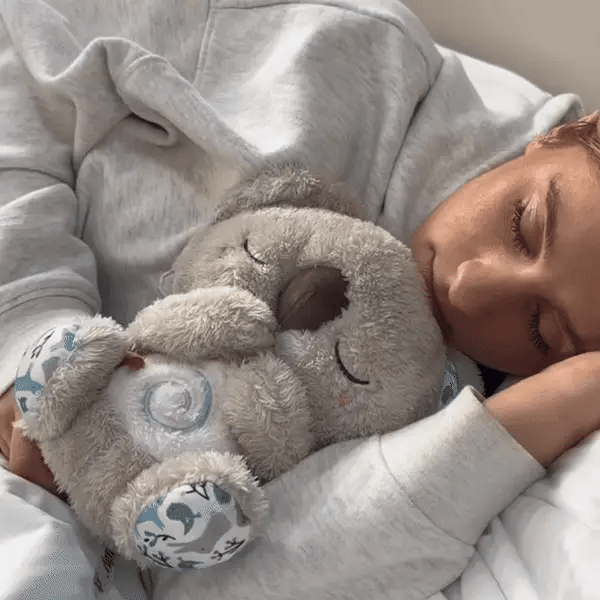 Lélegző Koala HU